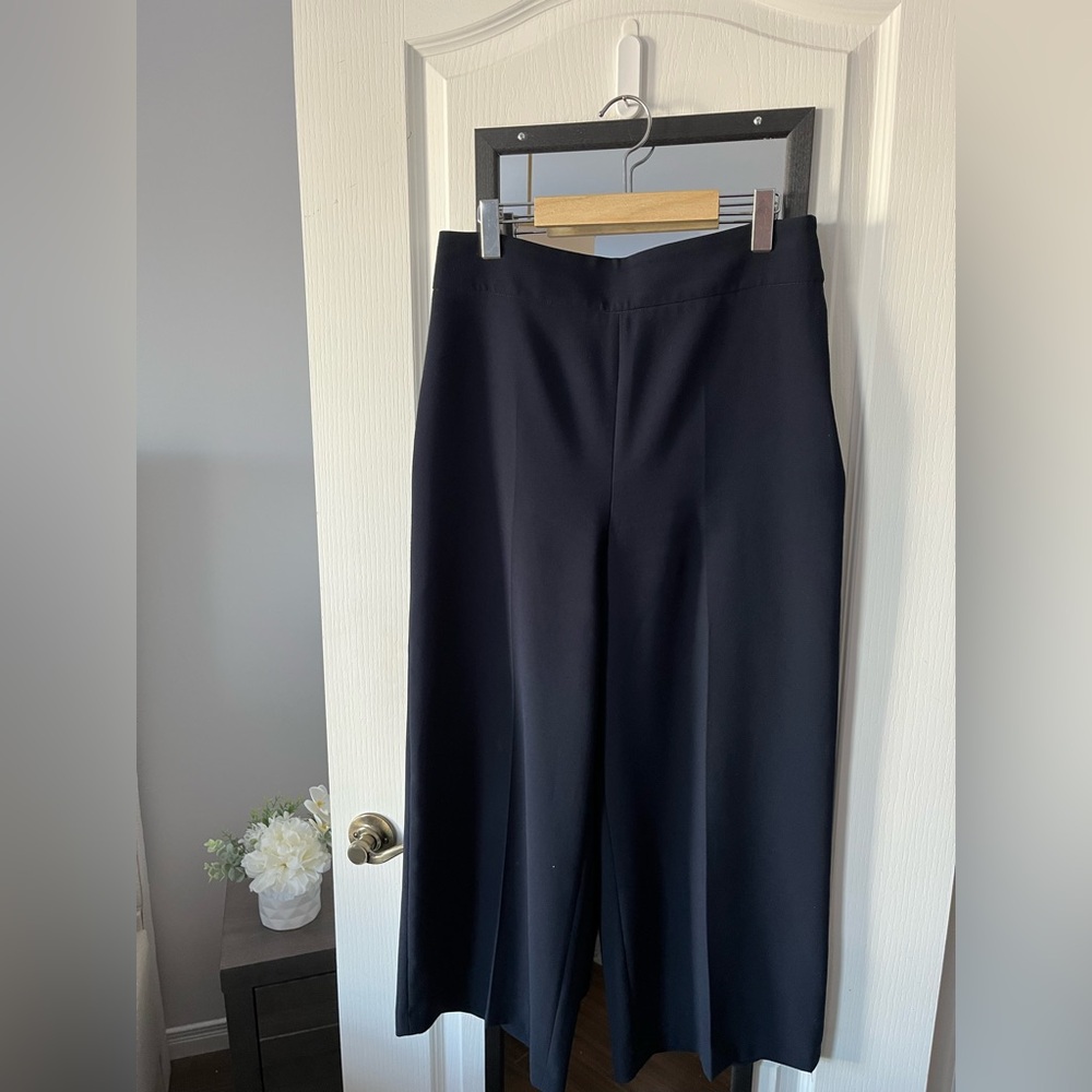 Zara navy side zip pants